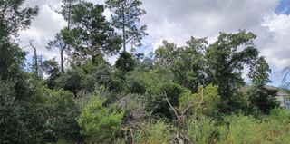13014 HANLEY DRIVE, Spring Hill, FL 34609
