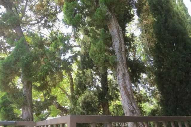 631 San Jose F, Burbank, CA 91501