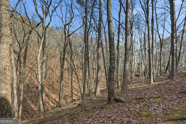 102 Siddiqui Court, Waleska, GA 30183