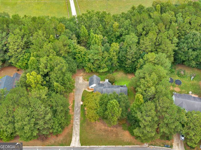 207 Cobblestone Lane, Mcdonough, GA 30252