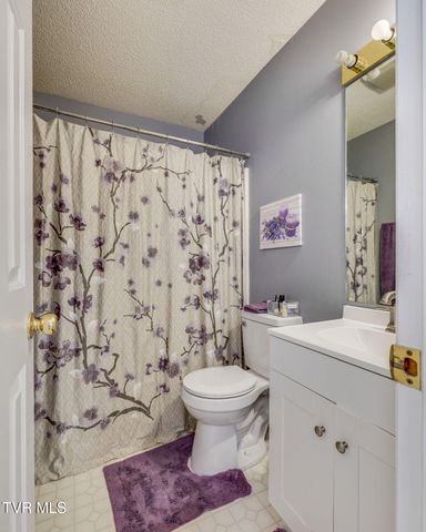 1065 Gray Station Road, Gray, TN 37615