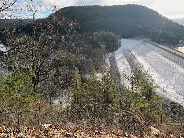 14 Walter Maxfield Road, Hadley, NY 12835