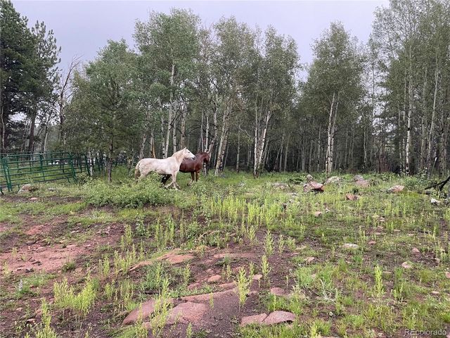 3153 Homestake Place, Florissant, CO 80816