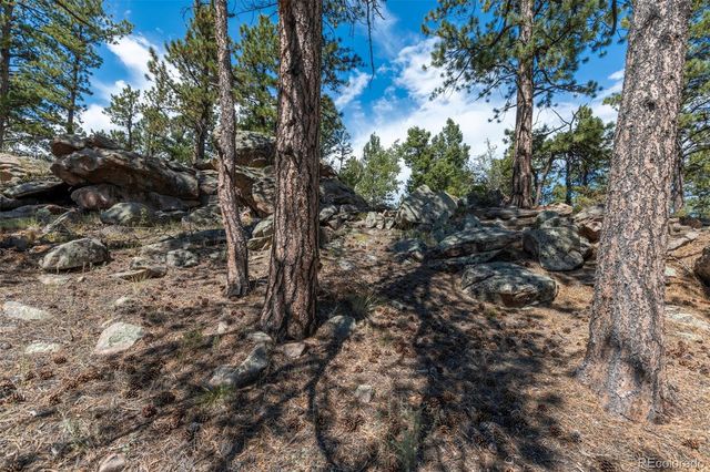 3153 Homestake Place, Florissant, CO 80816