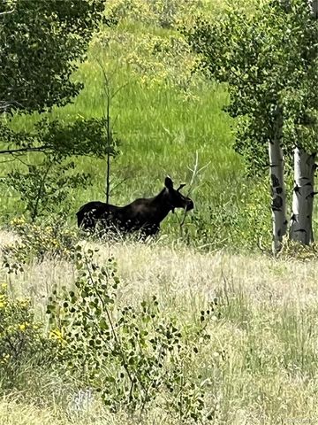 3153 Homestake Place, Florissant, CO 80816