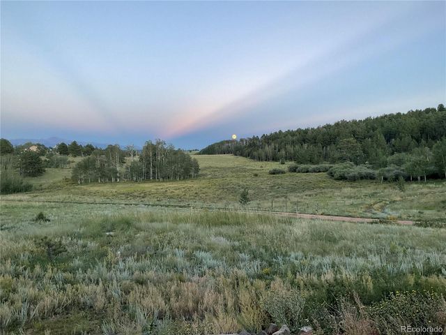 3153 Homestake Place, Florissant, CO 80816