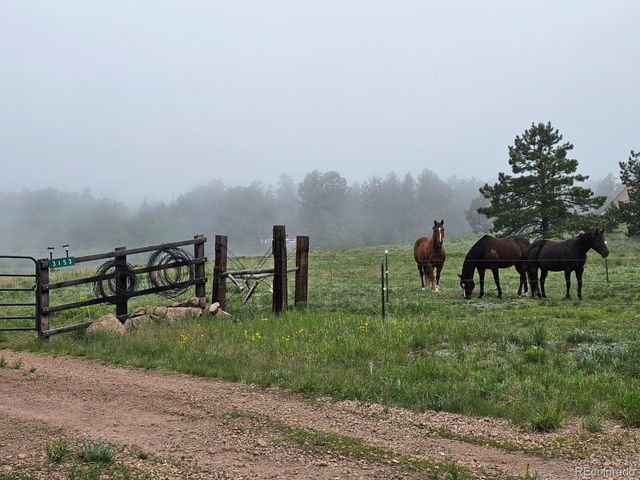 3153 Homestake Place, Florissant, CO 80816