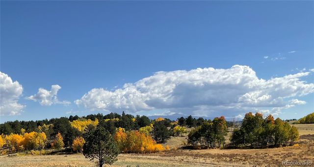 3153 Homestake Place, Florissant, CO 80816