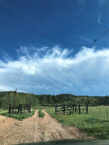 3153 Homestake Place, Florissant, CO 80816