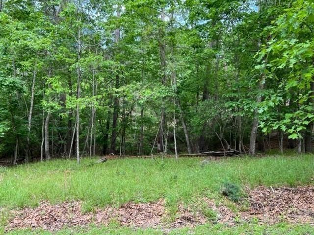 10 Castaway Lane, Coldspring, TX 77331