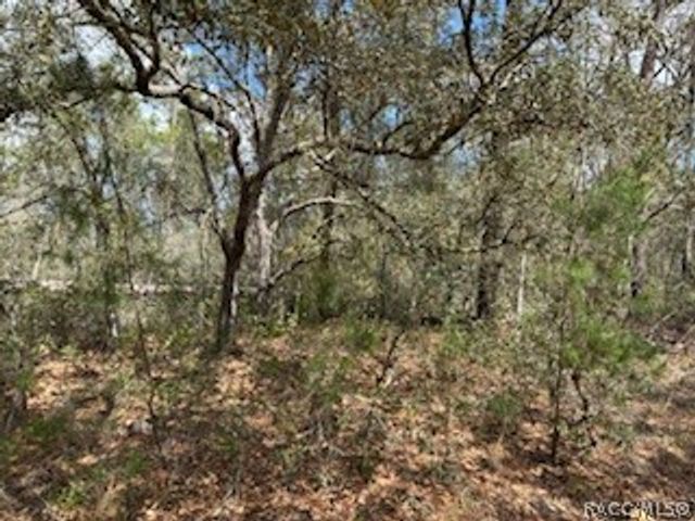 2910 Collins Street, Inverness, FL 34452