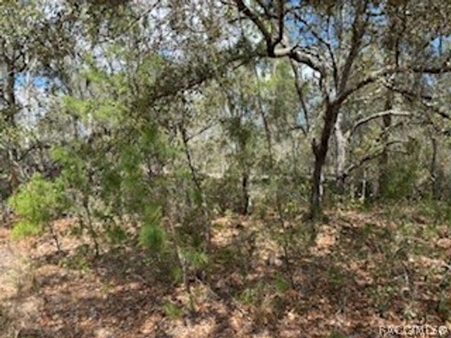 2910 Collins Street, Inverness, FL 34452