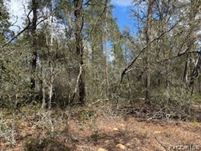 2910 Collins Street, Inverness, FL 34452