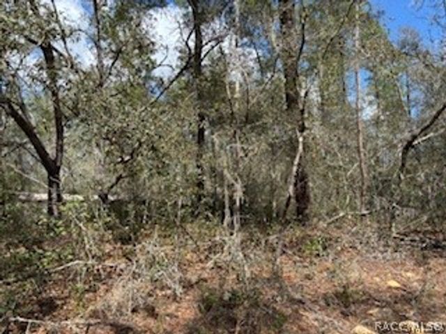 2910 Collins Street, Inverness, FL 34452