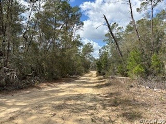 2910 Collins Street, Inverness, FL 34452