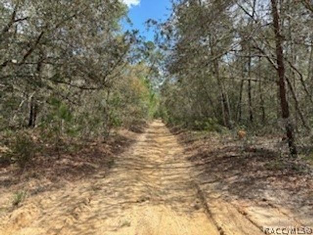 2910 Collins Street, Inverness, FL 34452