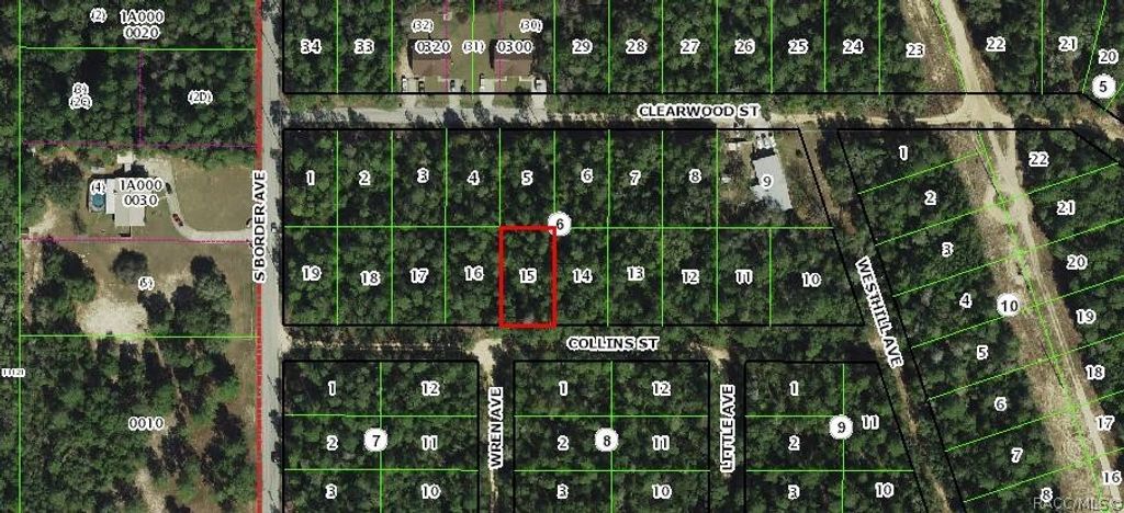 2910 Collins Street, Inverness, FL 34452