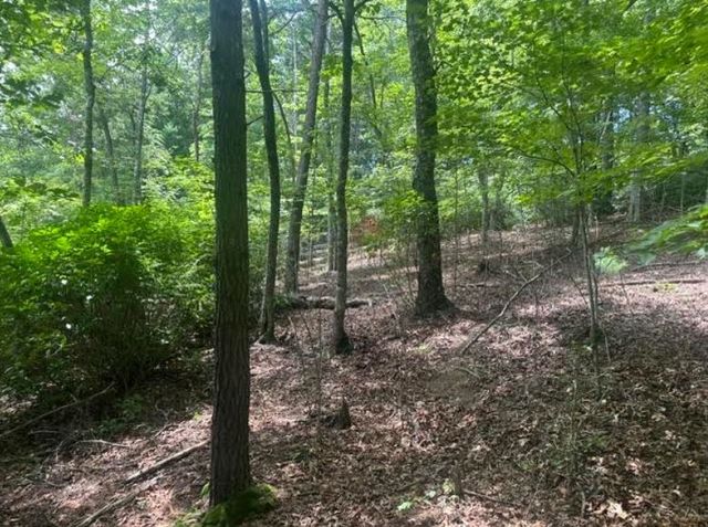 2 Thunder Road, Hayesville, NC 28904