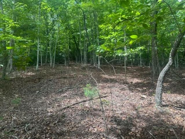 2 Thunder Road, Hayesville, NC 28904