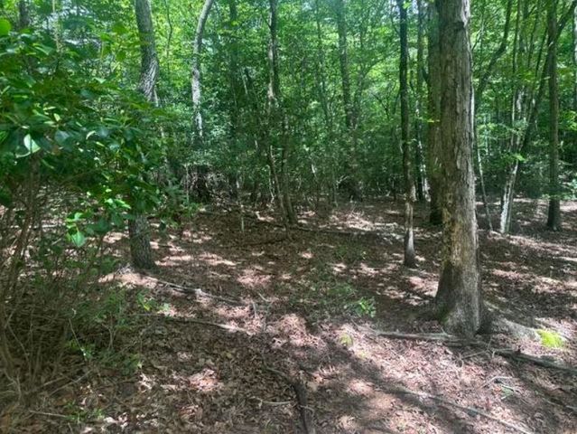 2 Thunder Road, Hayesville, NC 28904