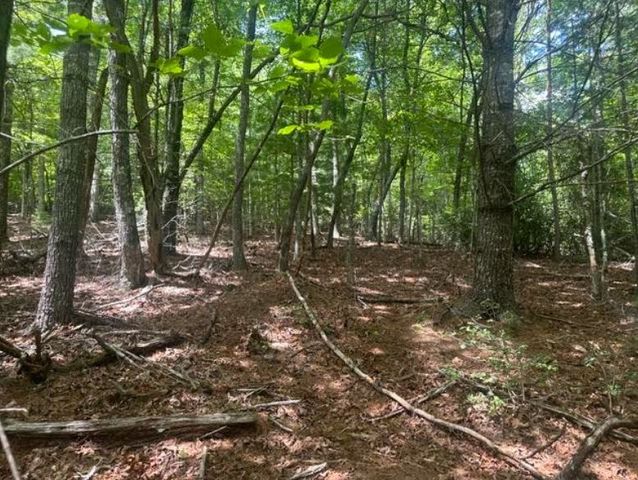 2 Thunder Road, Hayesville, NC 28904