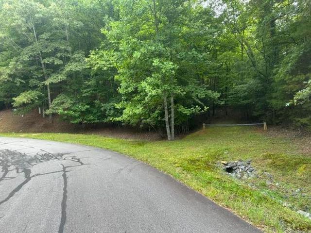 2 Thunder Road, Hayesville, NC 28904