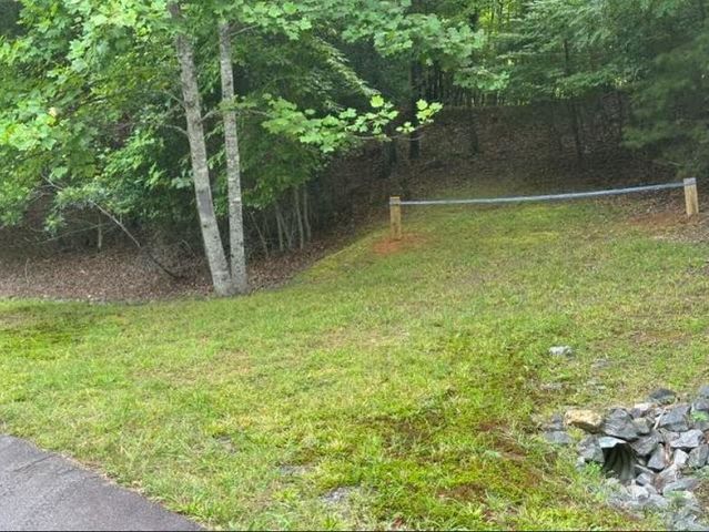 2 Thunder Road, Hayesville, NC 28904