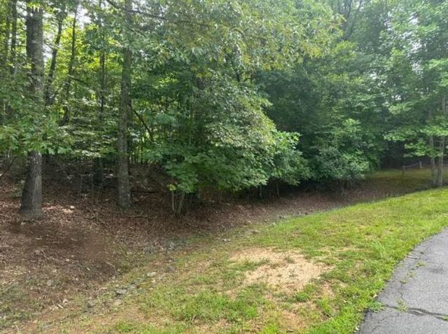 2 Thunder Road, Hayesville, NC 28904