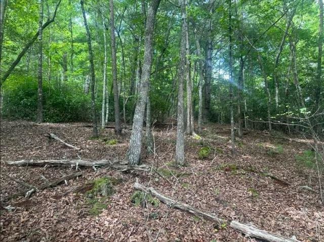2 Thunder Road, Hayesville, NC 28904