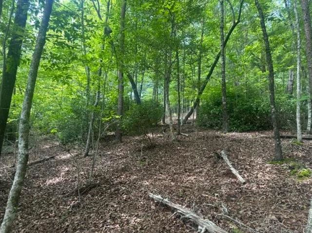 2 Thunder Road, Hayesville, NC 28904