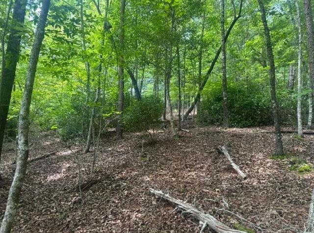 2 Thunder Road, Hayesville, NC 28904