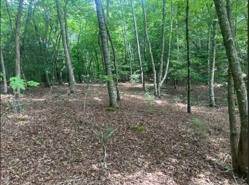 2 Thunder Road, Hayesville, NC 28904