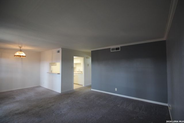 8401 N New Braunfels Ave Apt 331, San Antonio, TX 78209