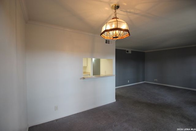 8401 N New Braunfels Ave Apt 331, San Antonio, TX 78209