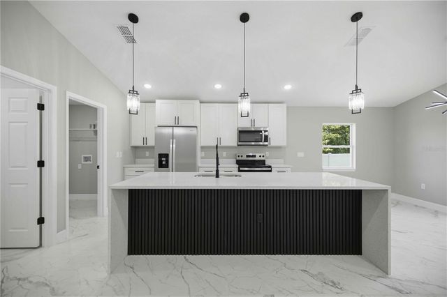 51 LOCUST PASS RUN, Ocala, FL 34472