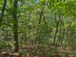 20 +/- Acres Fire Tower Rd., Unincorporated, MO 63383