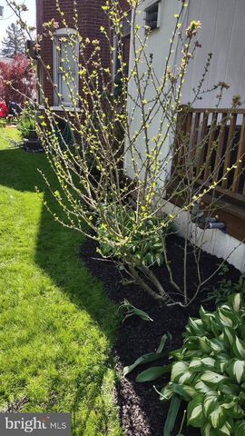 208 E BROAD ST, Souderton, PA 18964