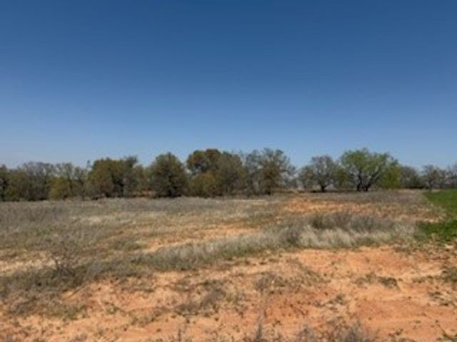 1179 Gonzollas Road, Springtown, TX 76082