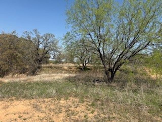 1179 Gonzollas Road, Springtown, TX 76082