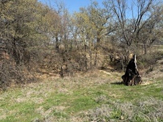 1179 Gonzollas Road, Springtown, TX 76082