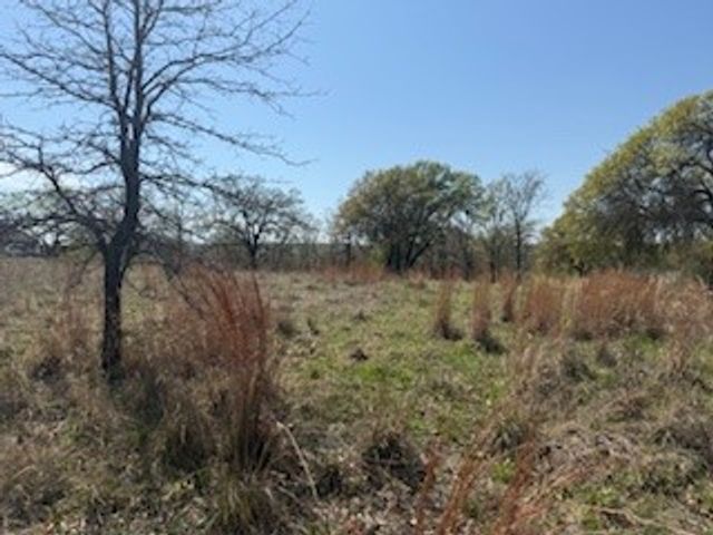 1179 Gonzollas Road, Springtown, TX 76082