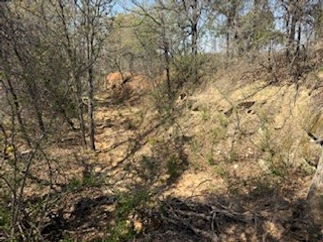 1179 Gonzollas Road, Springtown, TX 76082