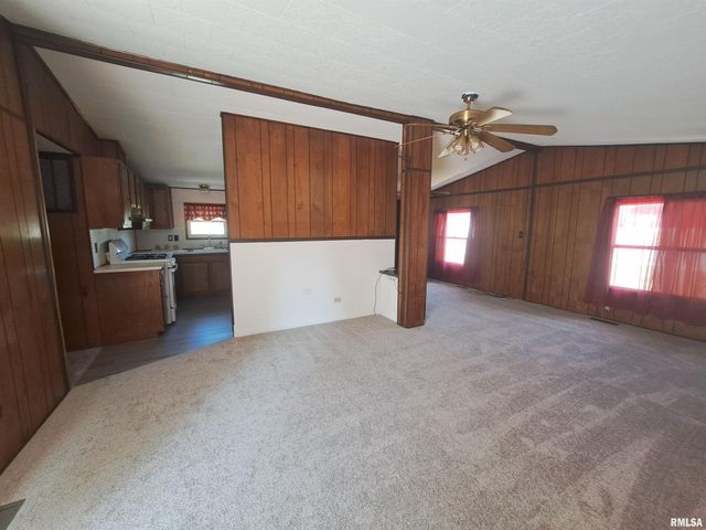 210 N CHESTNUT Street, Desoto, IL 62924