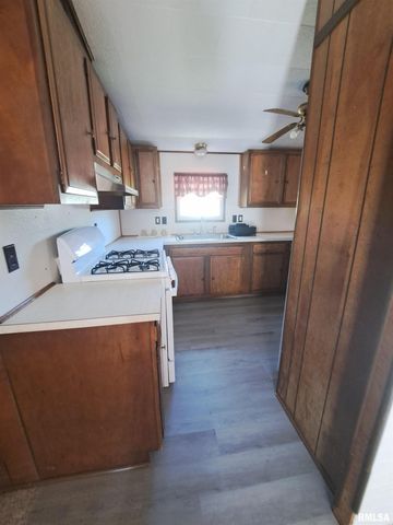 210 N CHESTNUT Street, Desoto, IL 62924