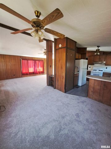 210 N CHESTNUT Street, Desoto, IL 62924