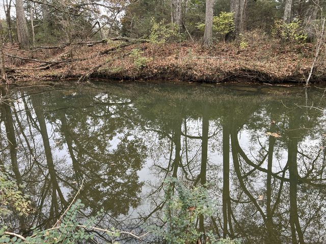 1 Pyles Rd, Chapel Hill, TN 37034