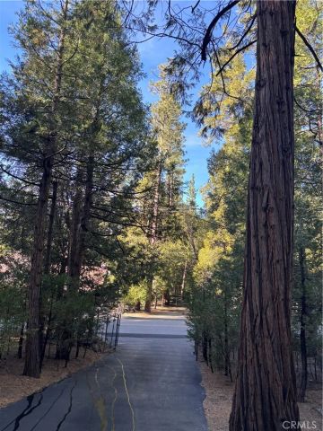 54805 S South Circle, Idyllwild, CA 92549