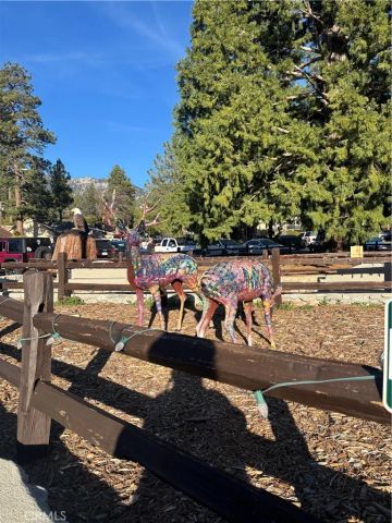 54805 S South Circle, Idyllwild, CA 92549