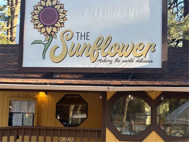 54805 S South Circle, Idyllwild, CA 92549