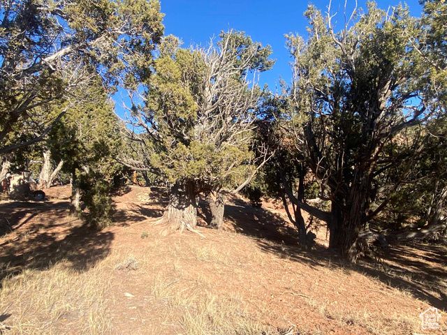 45450 W CEDAR ROCK RD, Fruitland, UT 84027